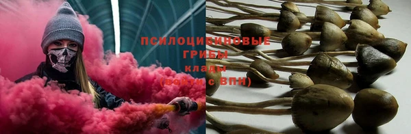 МДПВ Абаза