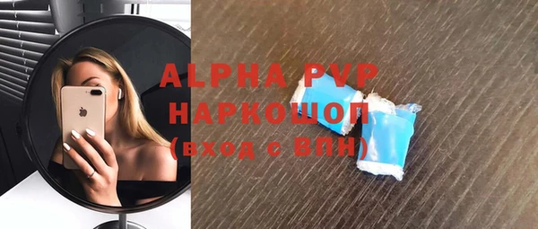 прущая мука Корсаков